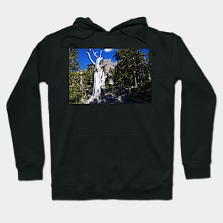 850_6883 Hoodie